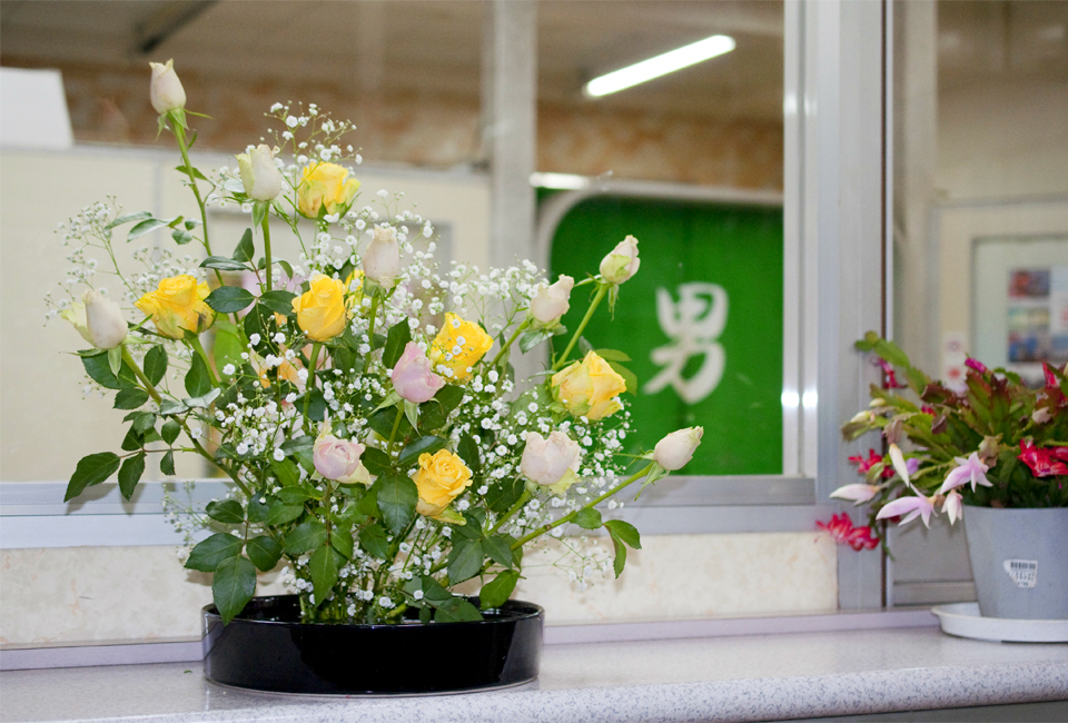 玄関の花です、イエローローズ